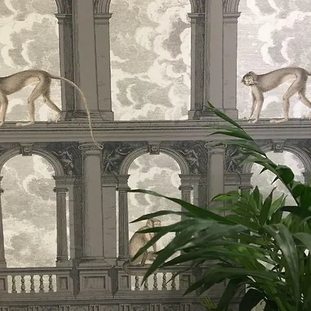 Casa Mia 4*